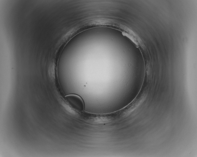 X0000111240445200907021414