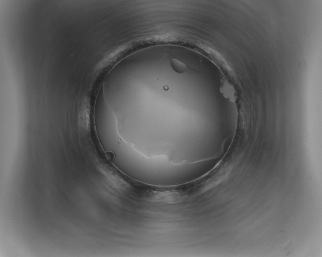 X0000111240446200907021414