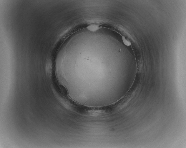 X0000111240448200907021414