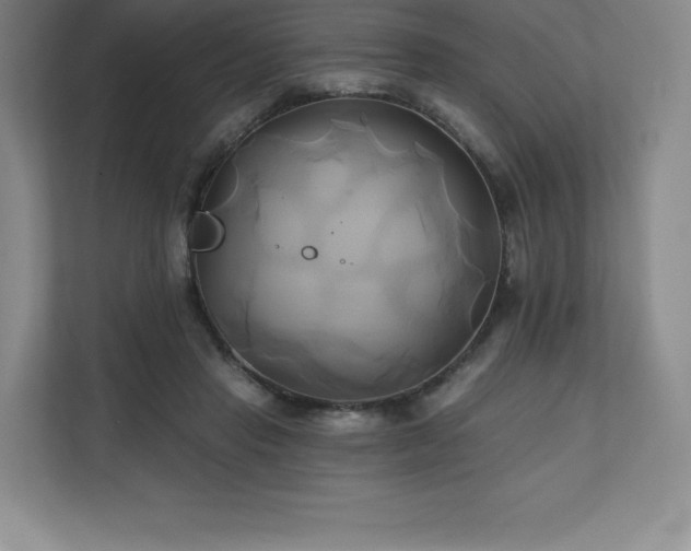 X0000111240453200907021414