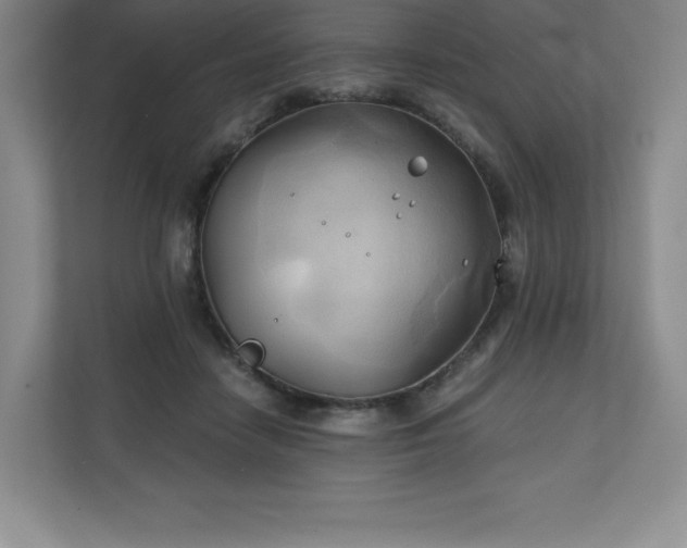 X0000111240458200907021414