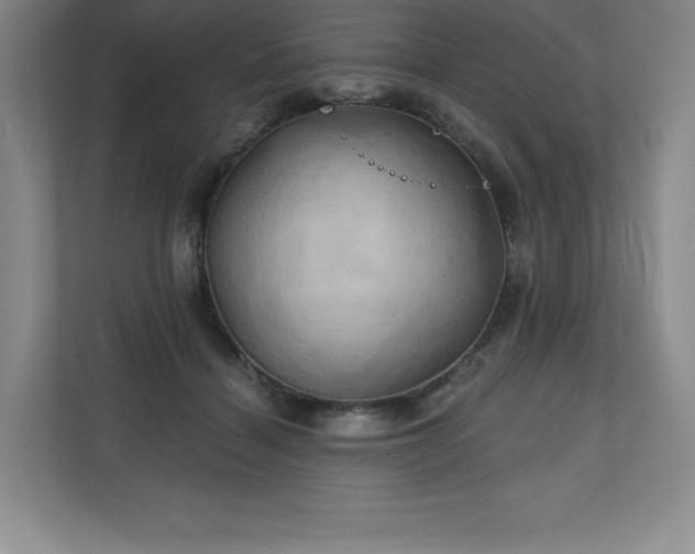 X0000111240460200907021414