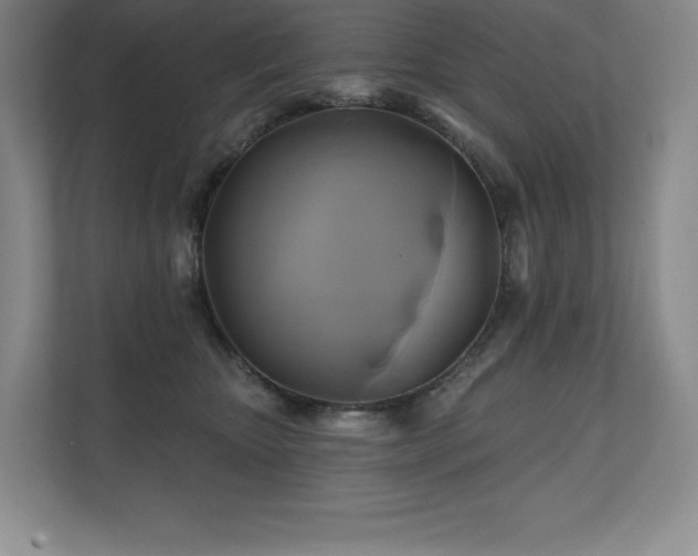 X0000111240467200907021415