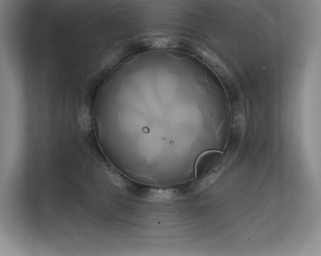 X0000111240469200907021415