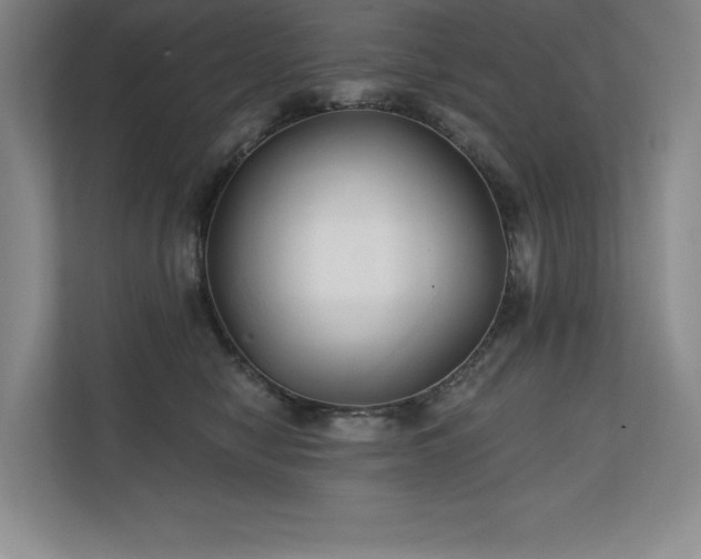 X0000111240470200907021415