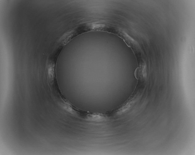 X0000111240475200907021415
