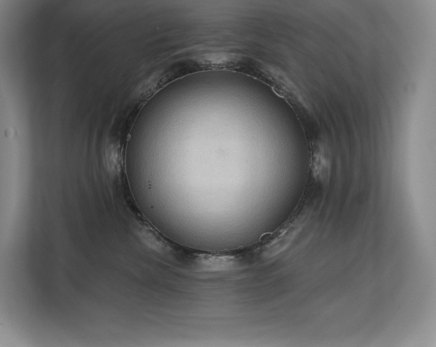 X0000111240476200907021415