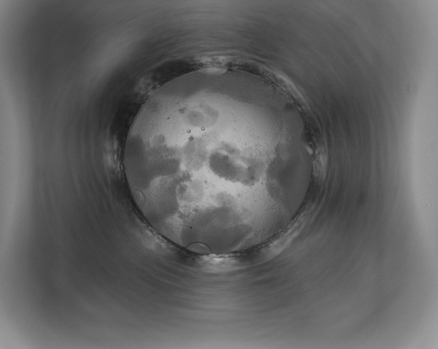 X0000111240477200907021415