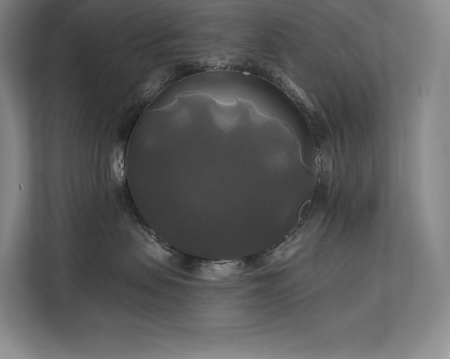 X0000111240479200907021415