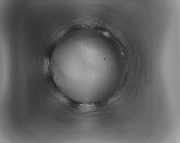 X0000111240480200907021415