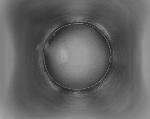 X0000111240481200907021414