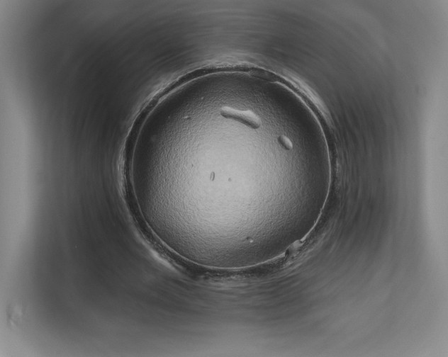 X0000111240485200907021414