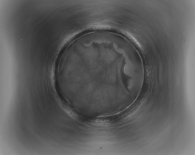 X0000111240487200907021414