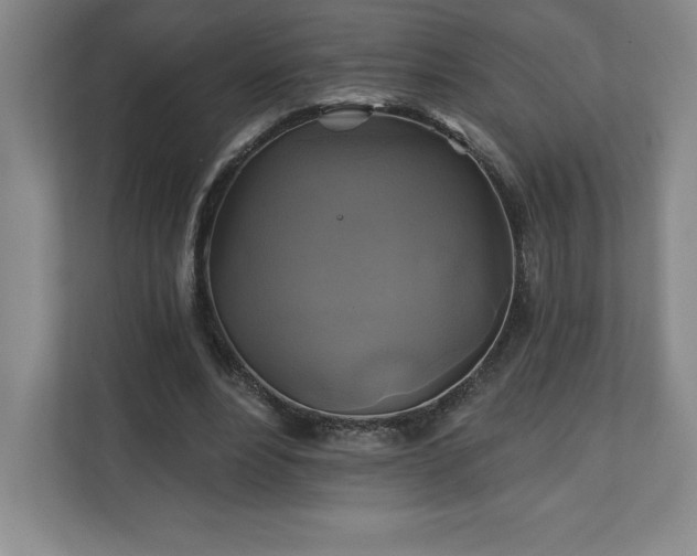 X0000111240488200907021414