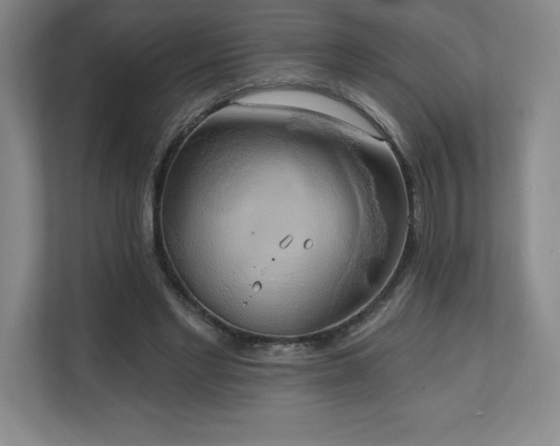 X0000111240493200907021414