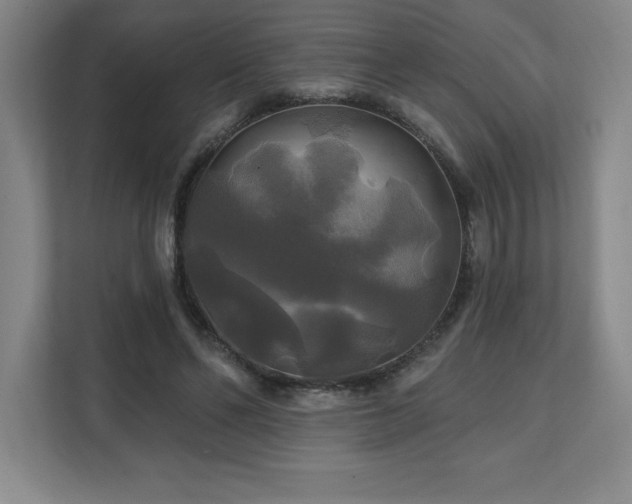 X0000111240494200907021414