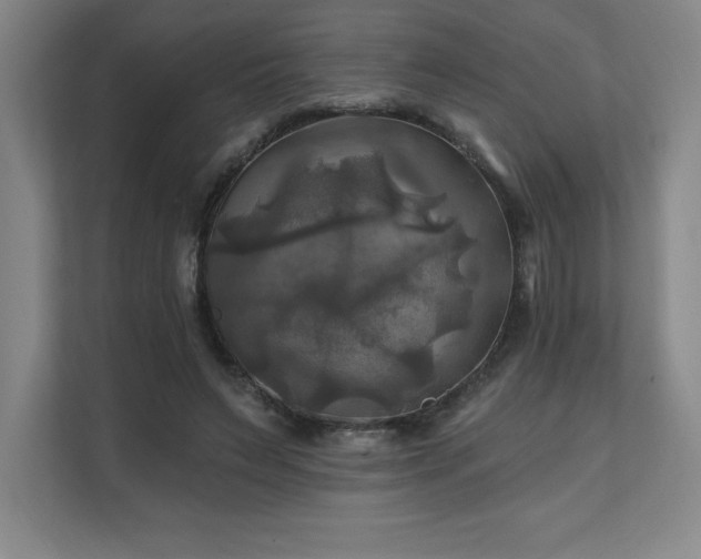 X0000111240495200907021414