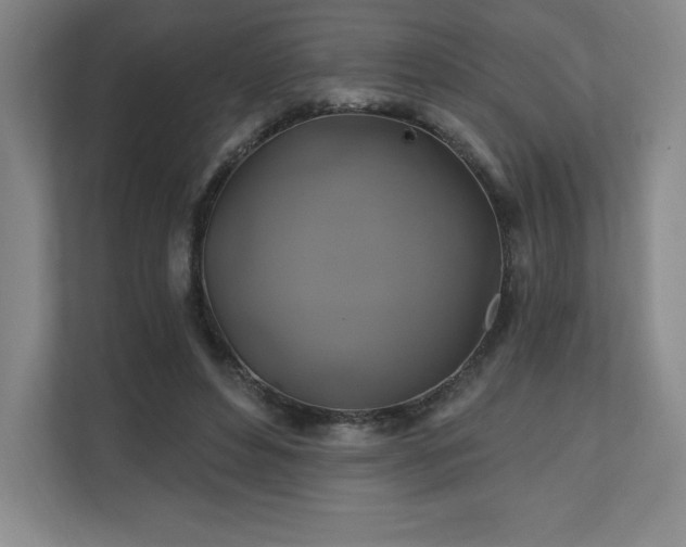 X0000111240496200907021414