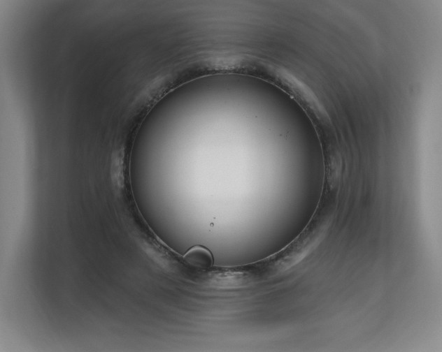 X0000111240497200907021414