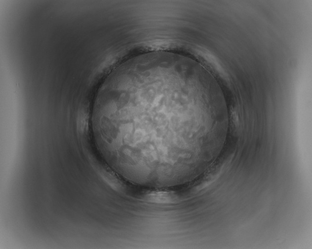 X0000111240499200907021414