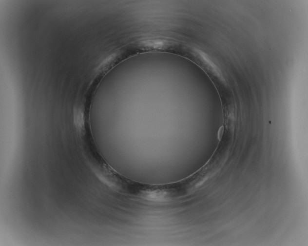 X0000111240500200907021414