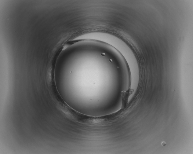 X0000111240501200907021414
