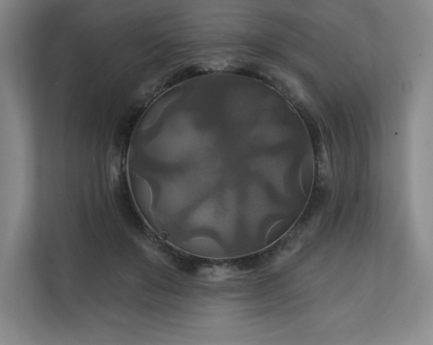 X0000111240503200907021414