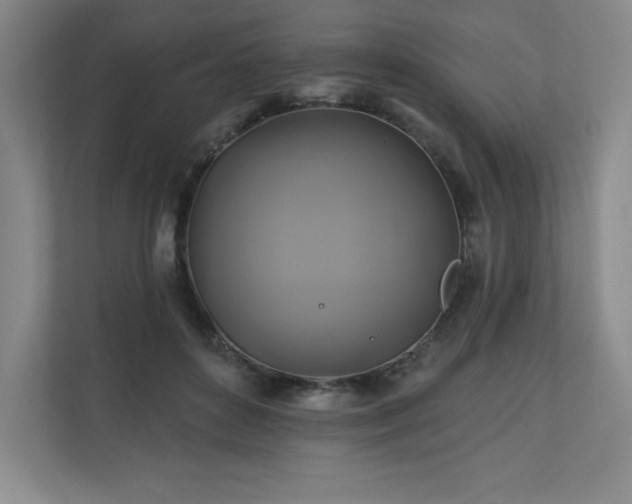 X0000111240504200907021414
