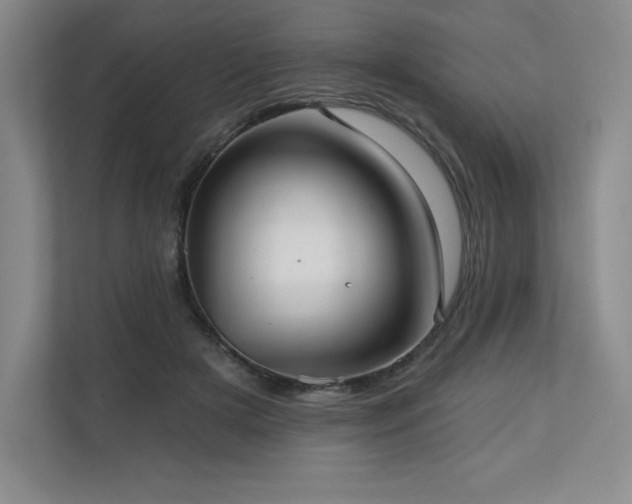 X0000111240505200907021414