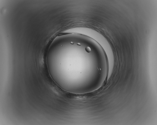 X0000111240508200907021414