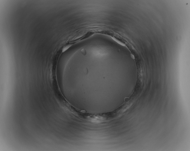 X0000111240512200907021414