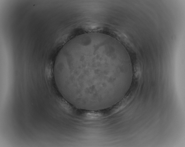 X0000111240515200907021414