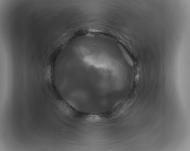 X0000111240519200907021414