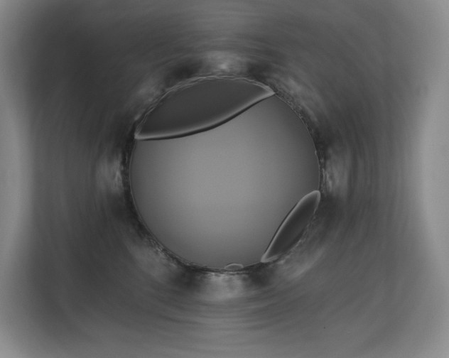 X0000111240520200907021414