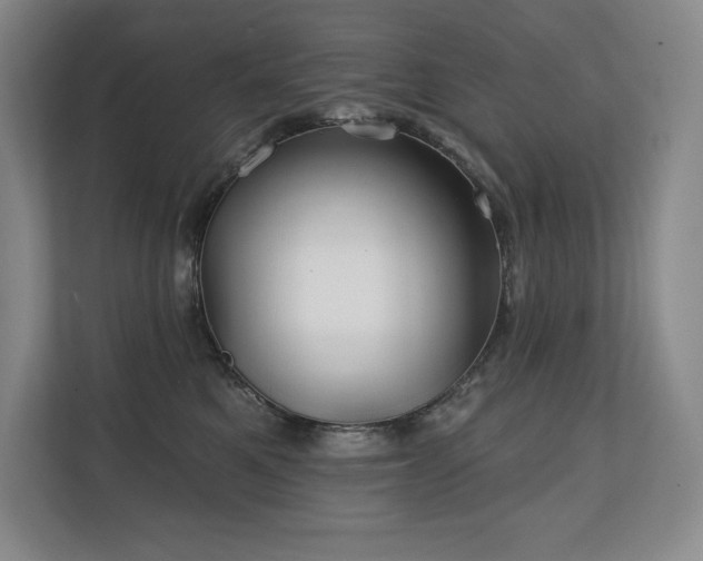 X0000111240521200907021414