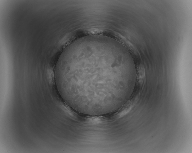 X0000111240523200907021414