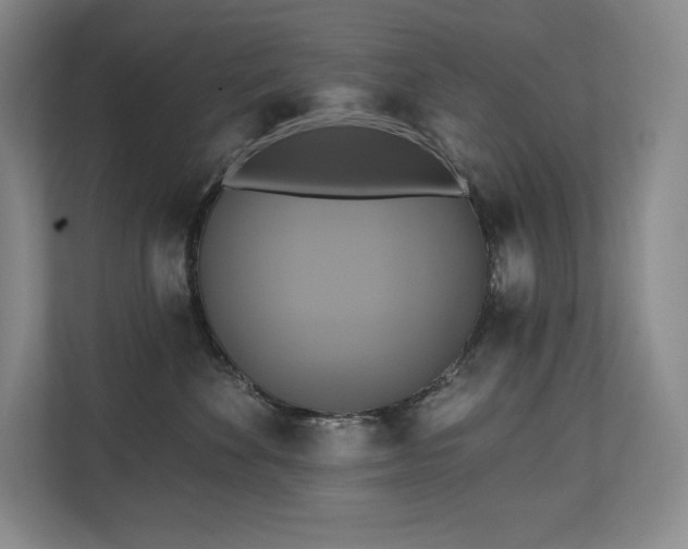 X0000111240524200907021414