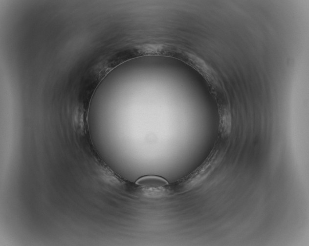 X0000111240525200907021413