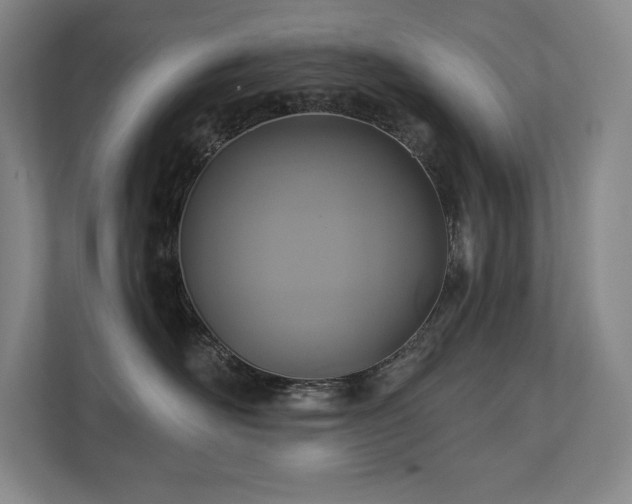 X0000111240526200907021413