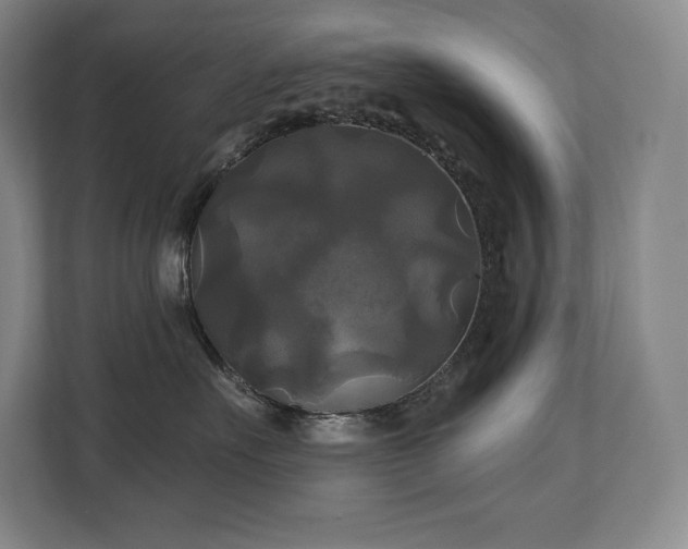 X0000111240527200907021413
