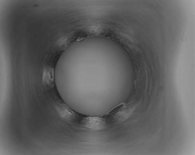 X0000111240528200907021413