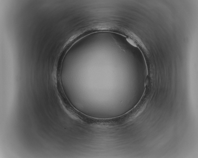 X0000111240530200907021413