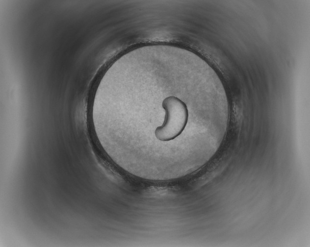 X0000111240534200907021413