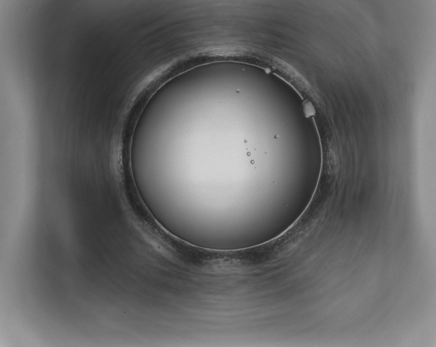 X0000111240535200907021413
