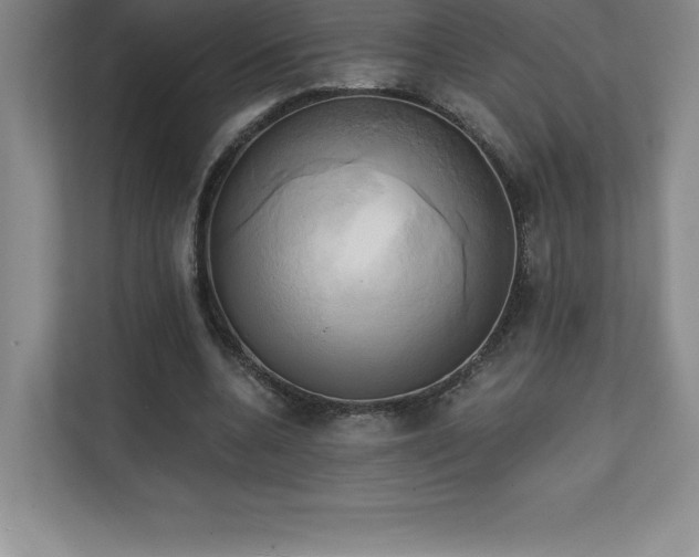 X0000111240536200907021413