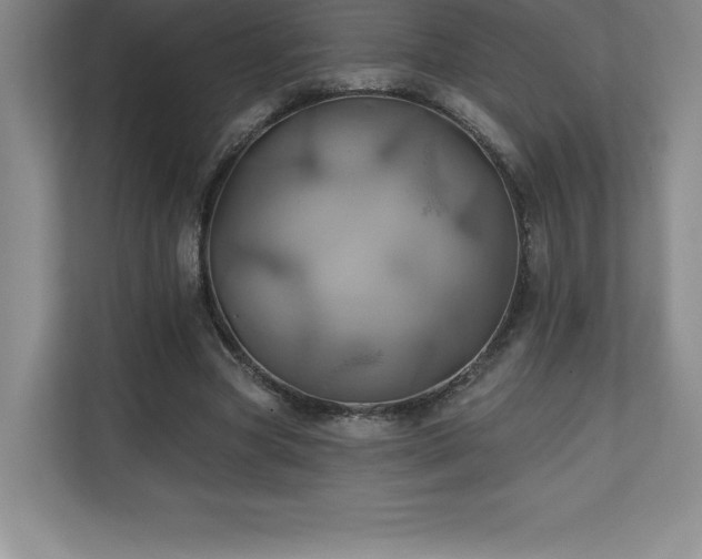 X0000111240537200907021413