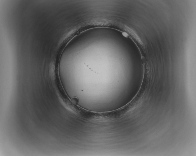 X0000111240538200907021413