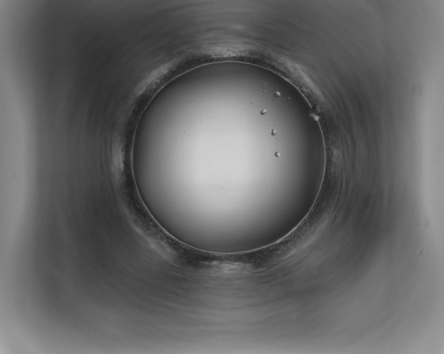 X0000111240539200907021413