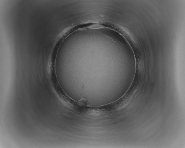 X0000111240540200907021413