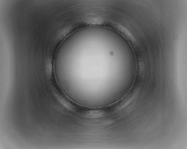 X0000111240541200907021413